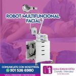 ROBOT MULTIFUNCIONAL